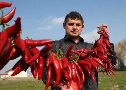 "Доброньська паприка"