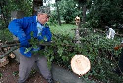В Ужгороді "жертвами" буревію стали дерева і дахи