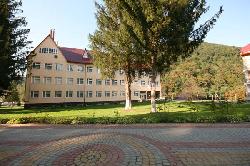 Санаторій "Шаян" оштрафували антимонопольники за мінералку