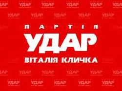 Закарпатський УДАР назвав кандидатів на березневі вибори в облраду