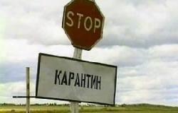 Села Закарпаття тимчасово перетворюють у "закриті зони"
