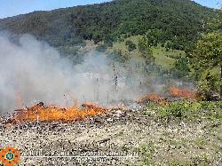 На Воловеччині загорілися ліси