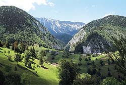 Цікаві факти Карпатських гір