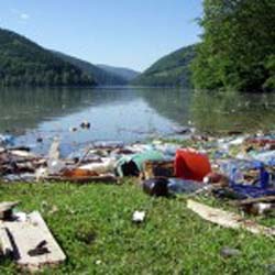 Прокуратура знайшла винних у засміченні Закарпаття 