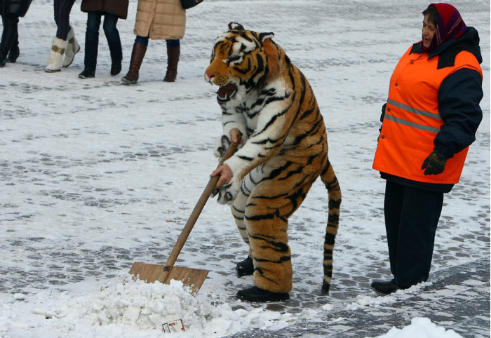 В Ужгороді сніг з доріг досі не прибрали