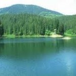 Водно-болотні угіддя Закарпаття рятуватимуть міжнародним статусом через їх загрозливий стан