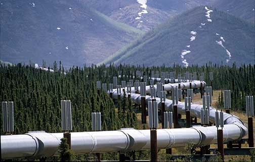 Обласні депутати завдяки статусу перейнялися газифікацією сіл Тячівщини