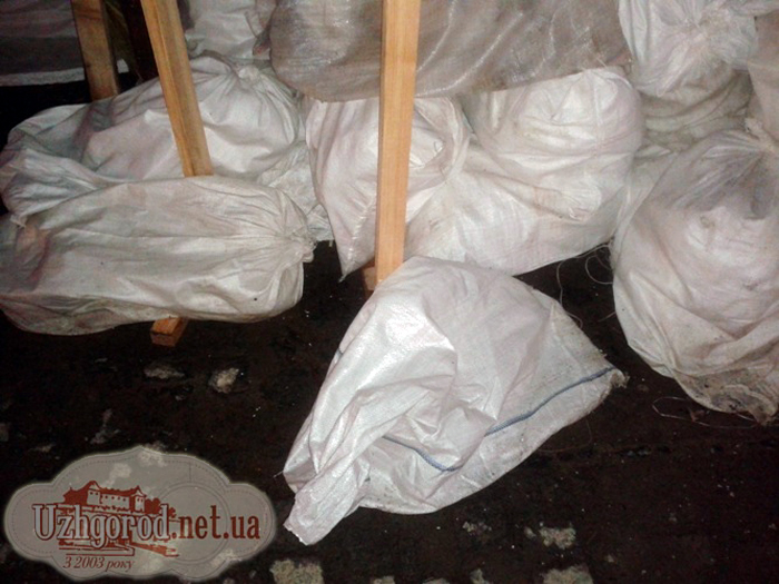 Ужгородський майдан йде під землю під акомпанемент російської попси