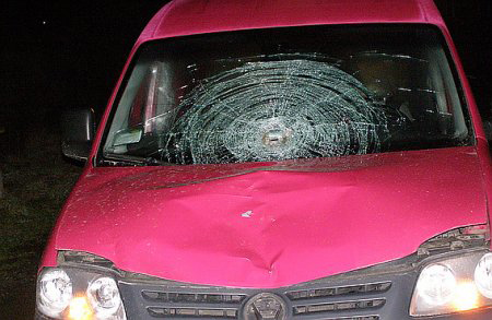 У Хусті під колесами авто загинула жінка