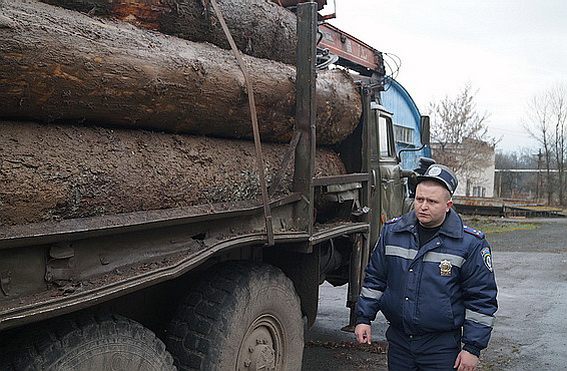 Іршавські ДАЇшники затримали лісопорушників