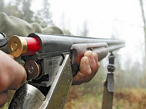 Стрілянина на Перечинщині