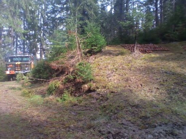 На Рахівщині знайшли велику кількість боєприпасів часів війни