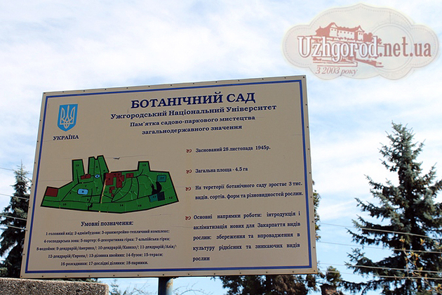 Чим здивував Ужгородський ботсад цієї неділі? (Фоторепортаж)