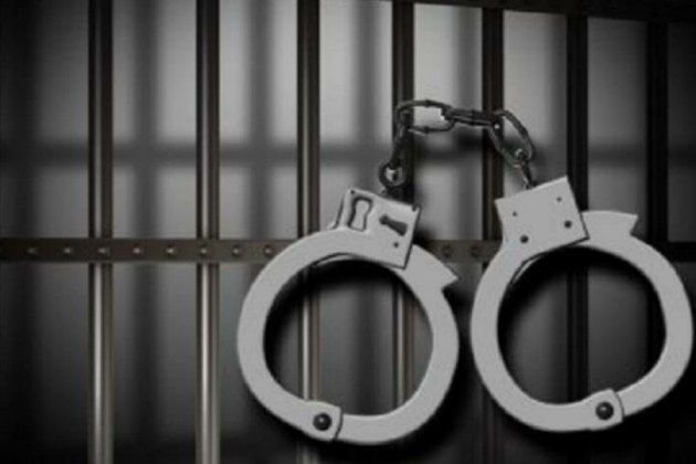 Мукачівські крадії не змогли пояснити походження каміну