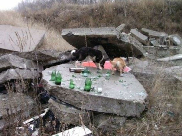 20-річний мешканець Тячівщини травмував річне маля
