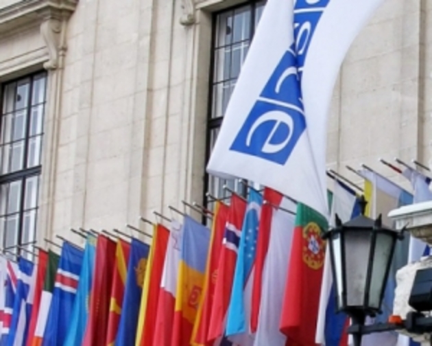 Новий президент України буде легітимним - ОБСЄ