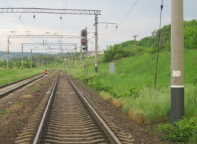 Лише дивом вціліла маленька закарпатка, потрапивши під потяг
