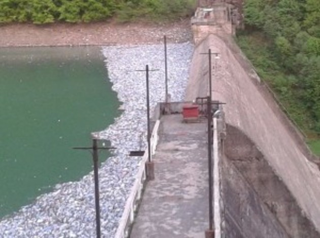 Вільшанське водосховище «потопає» у смітті