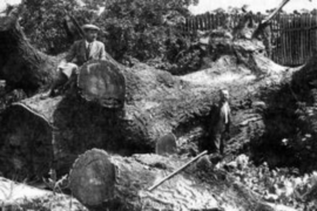 Звіринець Другетів, або Монаший сад