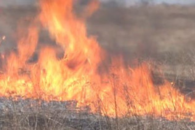 На Берегівщині було «димно»