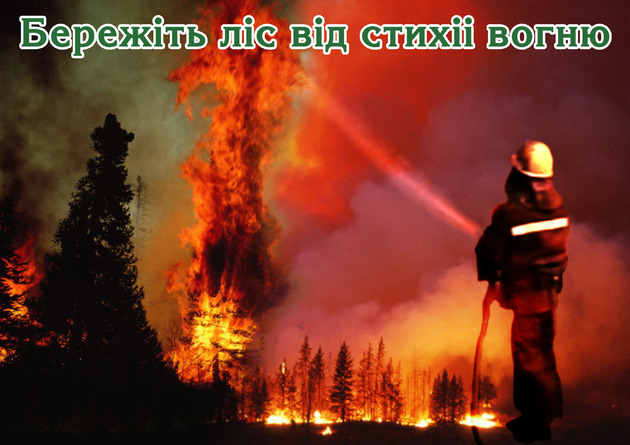 На Закарпатті оголосили 5 клас пожежонебезпеки