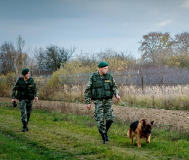 Сім’ю нелегалів затримали на закарпатському кордоні