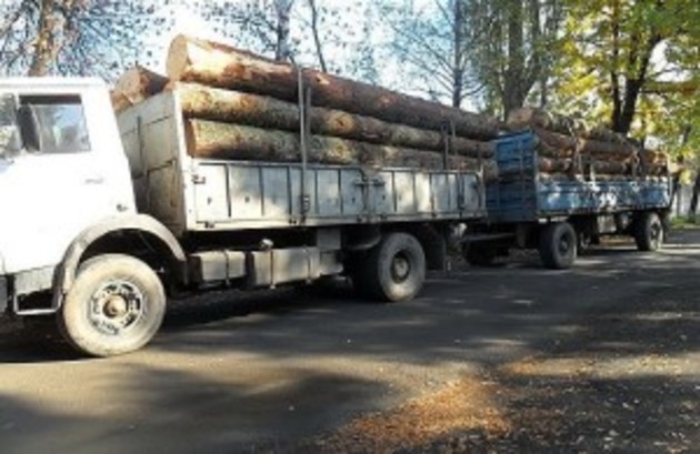 На Рахівщині затримали вантажівку з «липовою» деревиною