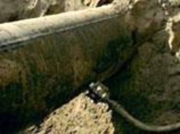 На Закарпатті знову «полювали» на «чорне золото»