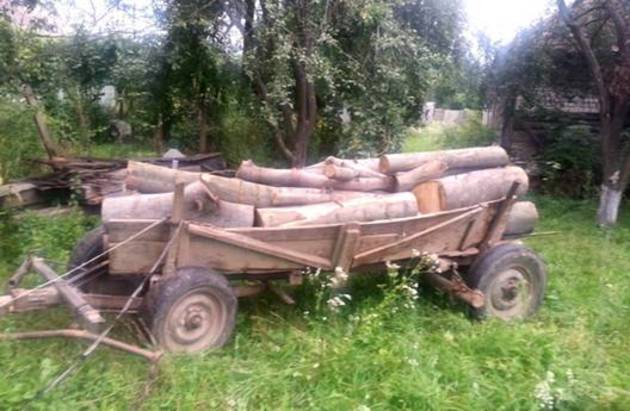 Сумлінний ужгородець допоміг міліціянтам розкрити злочин