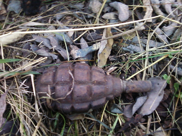У Колочаві знайшли вибухівку та ручну гранату