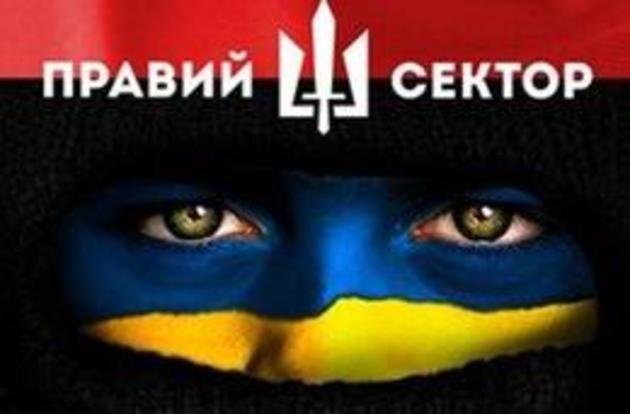 Правий Сектор: «Невже кабінетні полковники вважають, що добровольці воюють газовими балончиками та гумовими кийками із озброєними до зубів терористами?»