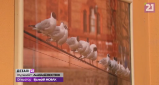 Ужгород у фотооб’єктиві (відео)