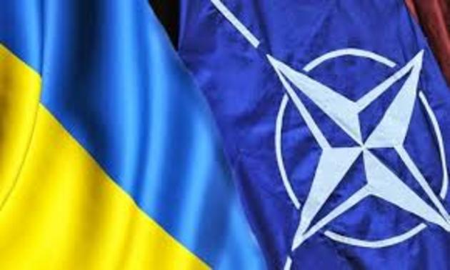 ЗМІ: Країни НАТО проведуть навчання на заході України