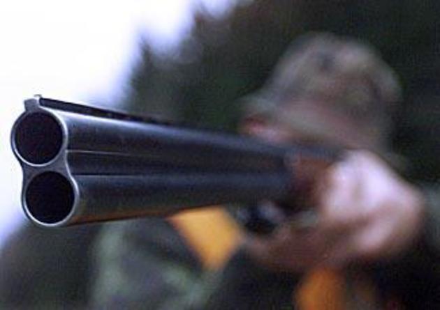 На закарпатській полонині убивають та крадуть свійську худобу