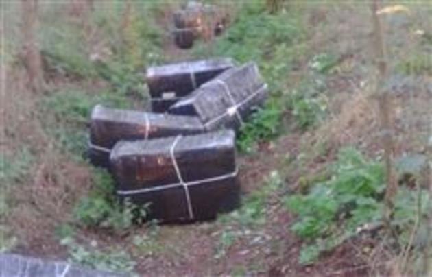 Закарпатець разом з угорськими «колегами по бізнесу» опинився за ґратами Євросоюзу