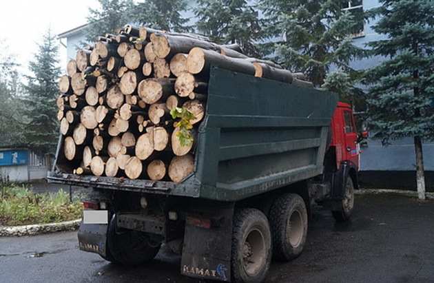 Іршавський злодій вночі пиляв дерева