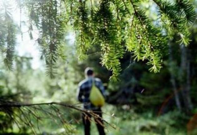Дев’ять з половиною годин блукав у закарпатських горах мукачівський пенсіонер