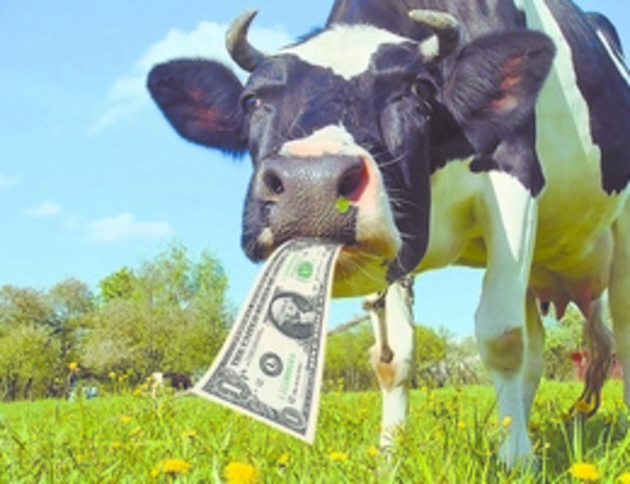 Закарпатські виробники тваринницької продукції отримали належні їм державою кошти?