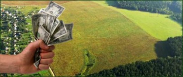 На Закарпатті селищна рада хотіла дозволити «дерибан» 250 га землі заповідного фонду