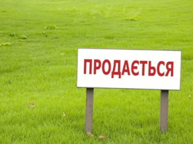Прокуратура Закарпаття не дала роздерибанити на Мукачівщині 4 га державних земель