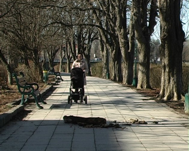 Біля Ужа гілка впала на візок з дитиною (ФОТО)
