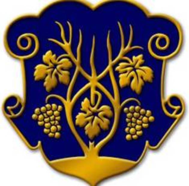 Відомий на Закарпатті підприємець та меценат покинув мерію 
