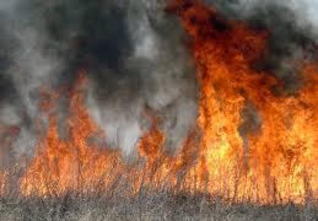 За вихідні на Закарпатті горіло понад 30 разів - УДСНС

