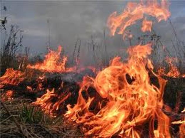 Небезпека при спалюванні сухої трави та листя чатує на закарпатців