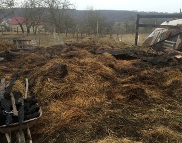На Хустщині згоріло 4 тонни сіна і приміщення, у якому воно зберігалося (ФОТО)
