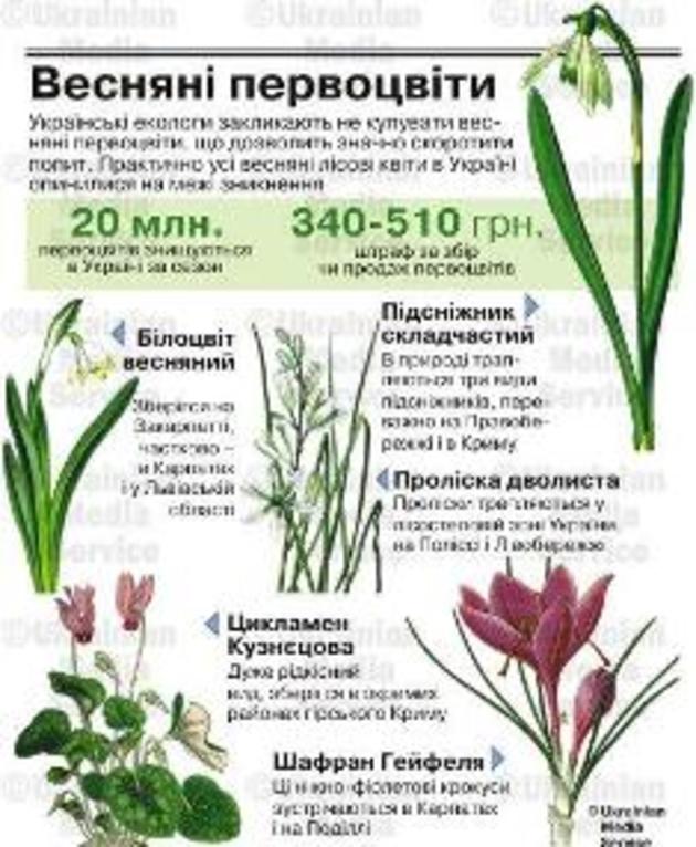 Хотіли заробити, а заплатять чималий штраф