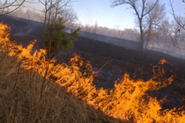 За вихідні вогнеборці краю виїжджали на 34 пожежі
