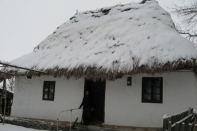 Іршавчанка живе в столітній хаті, яка радше схожа на музей (ФОТО)