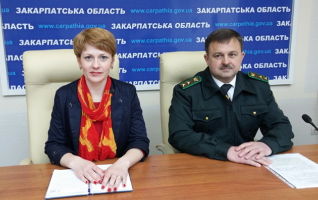 Оголені від лісів Карпати можуть стати «буденним явищем»