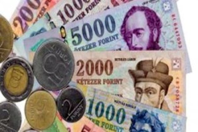 Закарпатським угорцям з Великих Берегів передадуть 5 мільйонів форинтів
